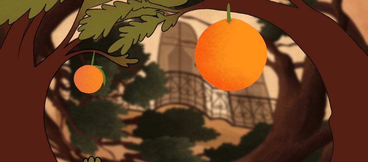 Апельсинова шкірка