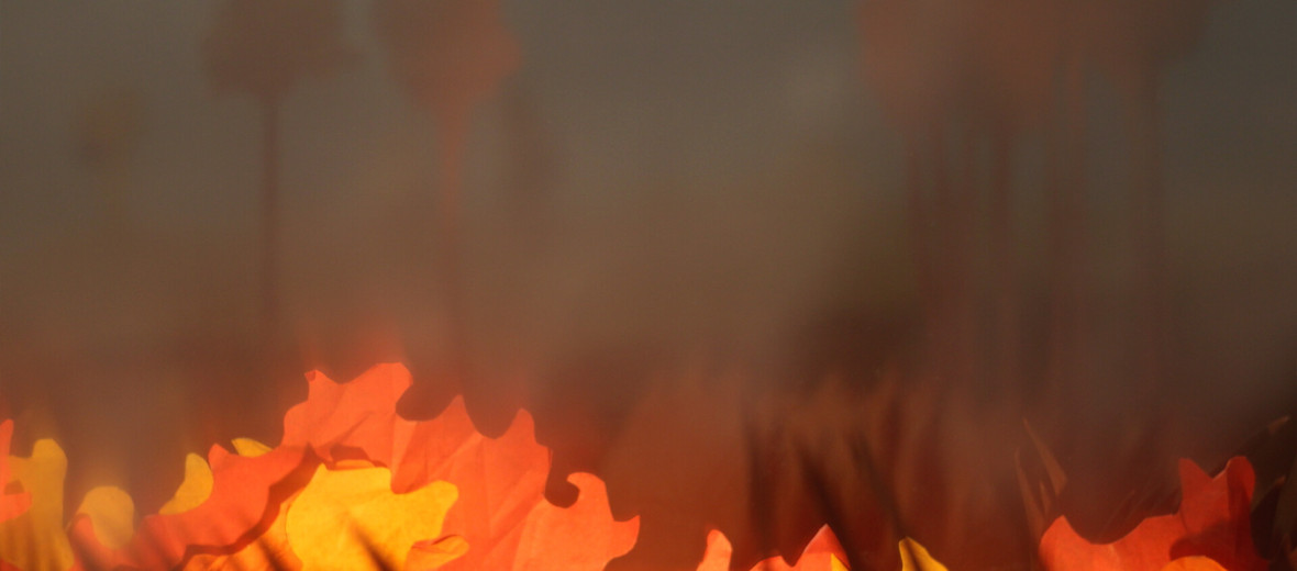 How are these fires burning underground?