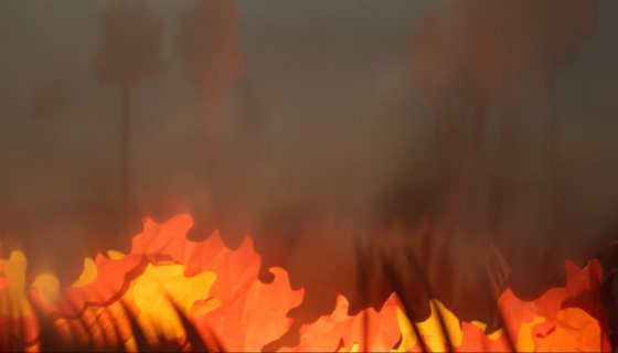 How are these fires burning underground?