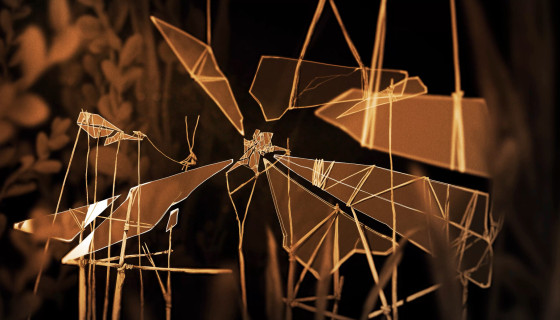 Reason and Impulse — Disappear