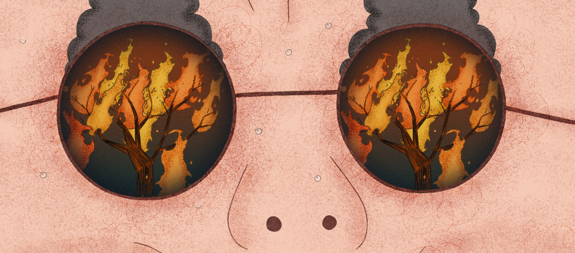 WTF?! - 16th Anibar Animation Festival Trailer