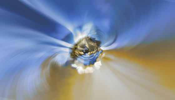 Vortex: Vers l'azur