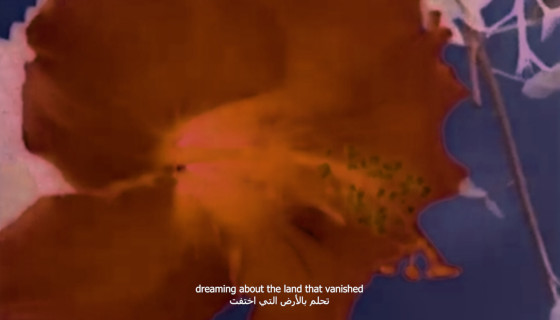 When Flowers Dream of Us