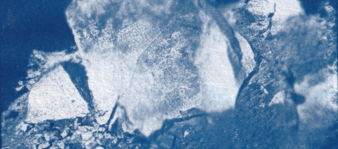 Skin of Dead Bull