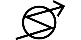 skvot